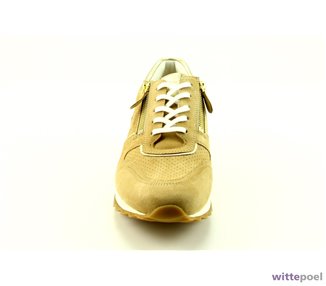 Hassia sneaker 301819 beige bij Wittepoel