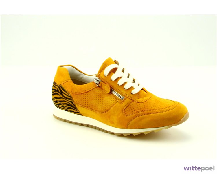 Hassia sneaker 301917 geel bij Wittepoel