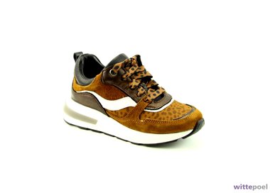 Twins sneaker 321662 bruin bij Wittepoel