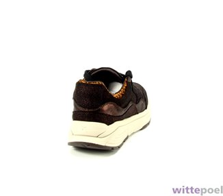 Xsensible sneaker Golden Gate 4351 Lady G bruin - achterkant rechts - bij Wittepoel