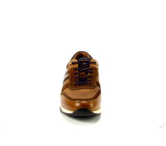 Australian sneaker Filmon DF6 bruin