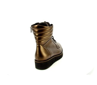 Footnotes veterboot Livia 1981 bruin