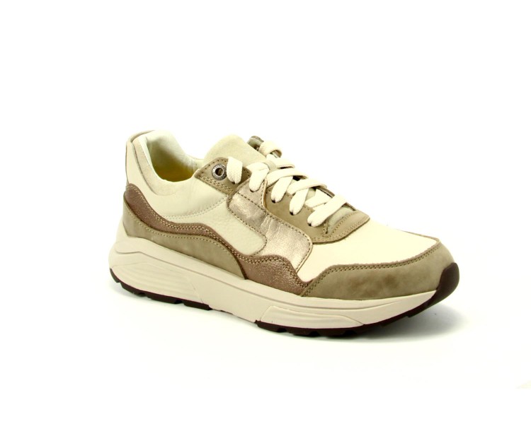 Xsensible sneaker Golden Gate Lady GX 531 taupe