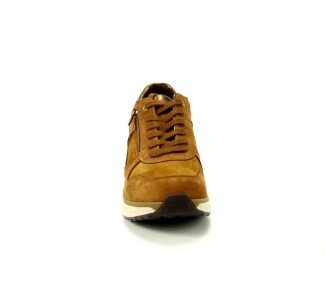 Xsensible sneaker New Jersey GX 330 bruin