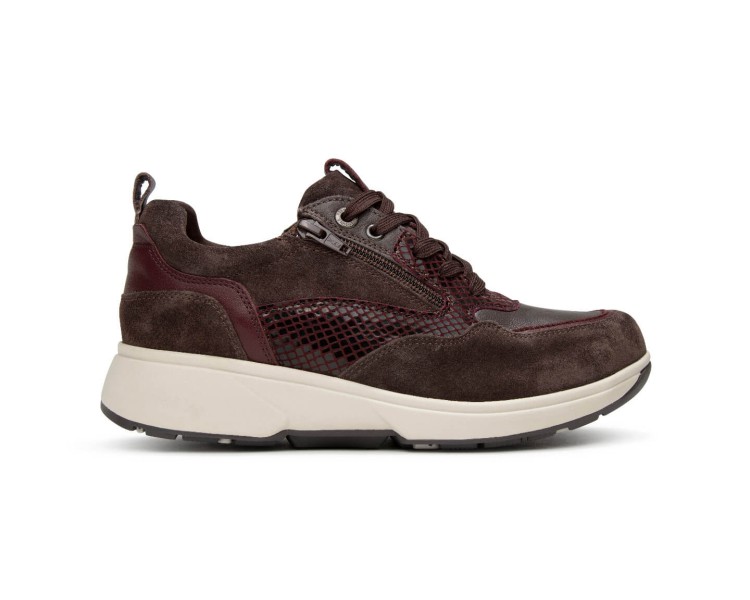 Xsensible sneaker Grenoble HX 360 bruin