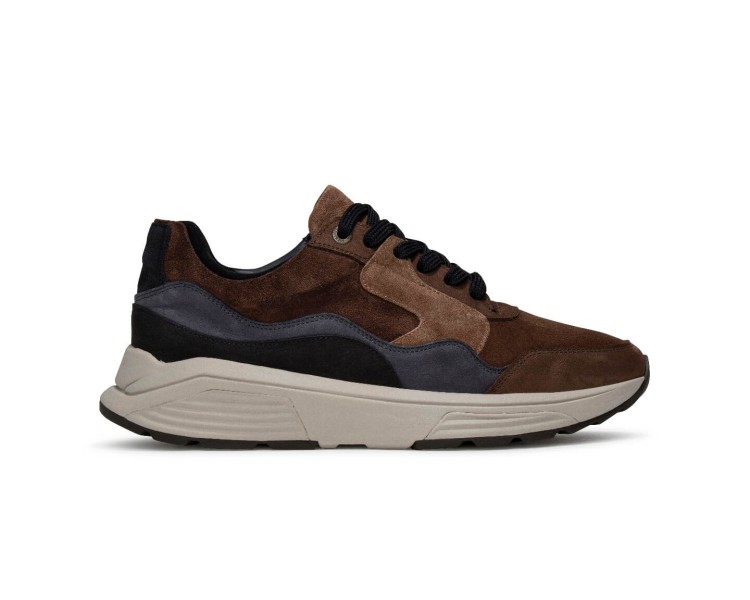 Xsensible sneaker Golden Gate Men HX 360 bruin