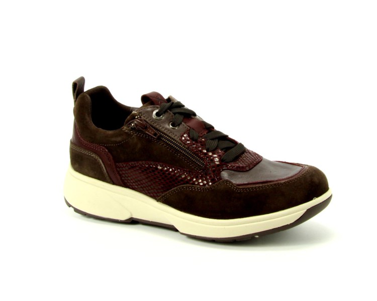 Xsensible sneaker Grenoble HX 360 bruin