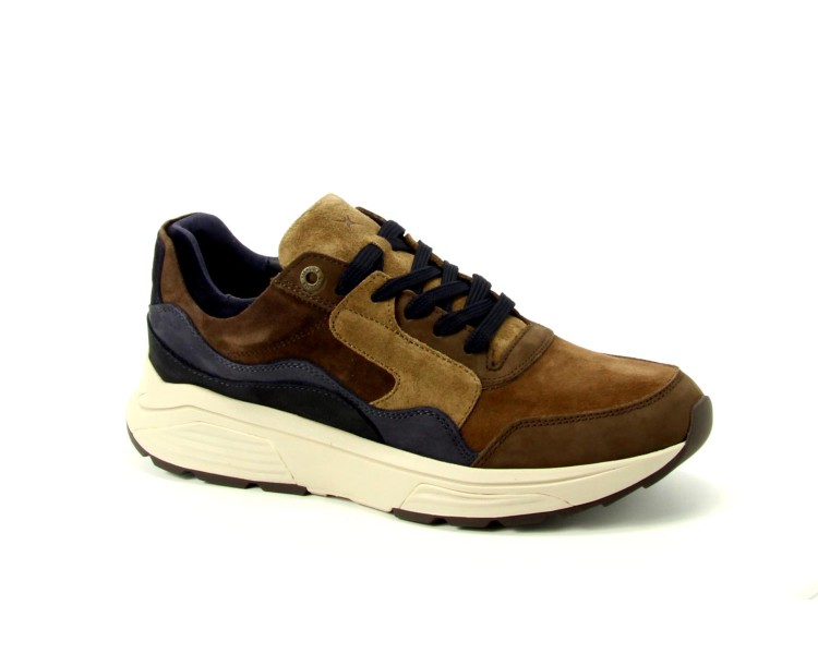 Xsensible sneaker Golden Gate Men HX 360 bruin