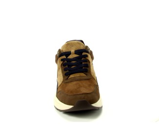 Xsensible sneaker Golden Gate Men HX 360 bruin
