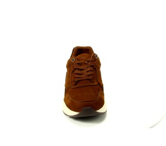 Xsensible sneaker Golden Gate Men H 302 bruin